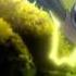 Pokemon Best Wishes Anime BGM Sinister Theme