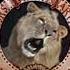 Metro Goldwyn Mayer 1991