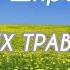 Анонс программы Песни от всей души Начало трансляции на канале Россия 1 в 17 50 20 10 24 г