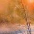 Paintings Music IGOR MEDVEDEV SERGEY CHEKALIN