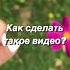 Монтаж видео Предметная съемка Описание в комментариях