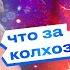 КРИНЖ ГОДА ИНСТАСАМКА И ЛЮСЯ ЧЕБОТИНА на шоу ЗАЛЕТАЙ В ТРЕНДЫ Как испортить репутацию за 2 сезон