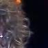 Bonnie Tyler If You Were A Woman And I Was A Man Live