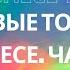 ДЕНЬГИ ИЛИ ДУША Болевые точки в бизнесе Часть 1