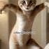 Dancing Cat Funny Dance Shorts Tutu Cute Cat Dance