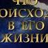 ЧТО ПРОИСХОДИТ В ЕГО ЖИЗНИ Таро онлайн Расклады Таро Гадание Онлайн