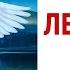 Белые лебеди интрига