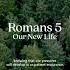 Romans 5 3 5