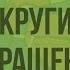 Строение и работа сердца Круги кровообращения Видеоурок по биологии 8 класс