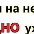 НАЧНИ с этих СЛОВ которые помогут заговорить на немецком Учим Немецкий на слух для начинающих