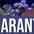 Quarantine Steps To Knock Out Saltwater Fish Disease THIS Is 80 20 QT Ep 6