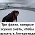 Что нужно знать чтобы выжить в АНТАРКТИДЕ