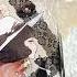 Lace Theme Phone Case Collage