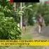 Смотрите на нашем канале Https Youtu Be 9RoFQpmxrI0 Crime преступление расследование трукрайм