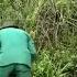 Ancient Monster Returns Giant Titanoboa Caught In Jungle Cleanup Clean Up Free