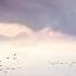 Eric Rigo Flight Of The Birds Owen Ear Remix Silk Music