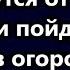 Все супер богатые отдадут свои богатства и будут ковыряться в огороде Дневник Кочевника сша