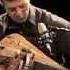 Matthias Loibner Hurdy Gurdy Master