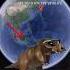 I Found Tyrannosaurus Rex On Google Earth Shorts Googleearth