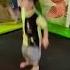 Jumping Myvoice Duet Babygames Pp Funny