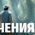 Лекция для сна Приключения Ибн Батутты первого в истории блогера путешественника