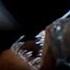 Deep Sea Creatures Exhibit Bioluminescence Blue Planet BBC Earth