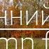 4K Осенний лес Autumn Forest 4K Ultra HD
