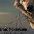 КАРЫШКЫРДЫН БЕЛЕТИ МЕЛИС МАКЕНБАЕВ АУДИО КИТЕП