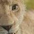 Mufasa The Lion King Brothers Official Clip In Theaters December 20