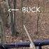 BIG BUCK AT 5 YARDS Deer Deerhunt