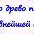 5 лет свадьбы поздравление в стихах