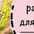 Прогулка по саду 8 Названия растений на латыни русском и немецком Невероятный ноябрь 2023