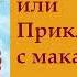 гл 11 Путь Кассандры или Приключения с макаронами Юлия Вознесенская аудиокнига