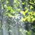 Trapt By Philip Daniel Zach Piano Cinematic Ambient Relaxing