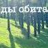 Биология 5 класс Пасечник аудио Параграф 5 Среды обитания организмов