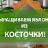Как вырастить ЯБЛОНЮ из СЕМЕЧКИ