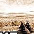 America S Last Day Dr Stone Chapter 157 Review