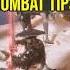 Black Myth Wukong Combat Tips And Tricks You Are Not Using