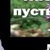 Кому и как навредит пустырник