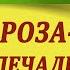 Черная роза эмблема печали КАК играть на гитаре Разбор красивой песни под гитару