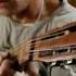 Радуга Russian 7 String Guitar Русский стиль Волгоград