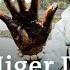 Taking Oil Companies To Task For Contamination Of The Niger Delta DW News