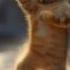 Cat Gangnamstyle Dance Cat Dance Catdance Petdance Gangnamstyle