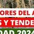 Tendencias Para Navidad 2024 2025 NUEVA DECORACIÓN NAVIDAD 2024