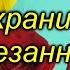 Срезанные цветы будут храниться долго простые правила