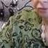 40 лет такой педагогический стаж у Нины Павловны Пашун