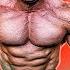 Путь к Mr Olympia Мохаммед Эль Эмам на Тампа Про 2021