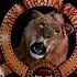 Lionsgate Metro Goldwyn Mayer Carolco 2009 1995