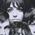 Shocking Blue Venus HQ