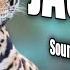 Jaguar Sound Effect Without Copyright Terrifying Jaguar Noise And Jaguar Noise